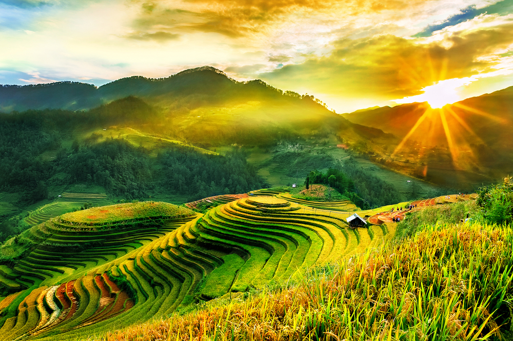 Chuyên trang du lịch nước ngoài: 8 nơi đẹp nhất Việt Nam, không đến thăm thì quá phí! - Ảnh 6.