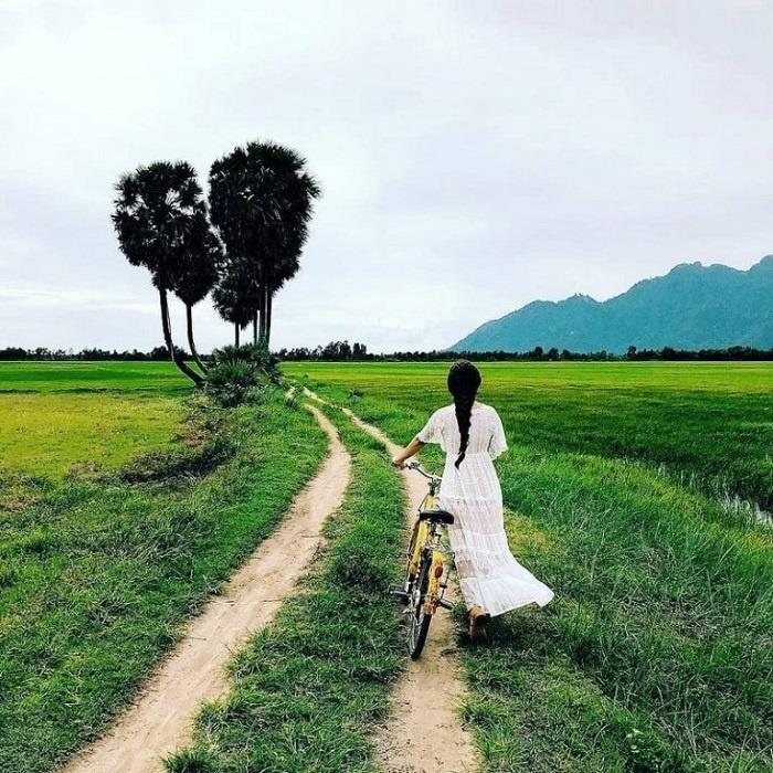 Top 9 'cây cô đơn' nổi tiếng, được check-in nhiều nhất Việt Nam