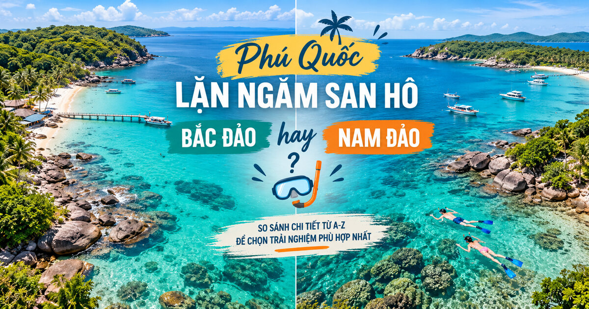 Lặn ngắm san hô Phú Quốc: Nên chọn Bắc đảo hay Nam đảo? Kinh nghiệm 2026–2027